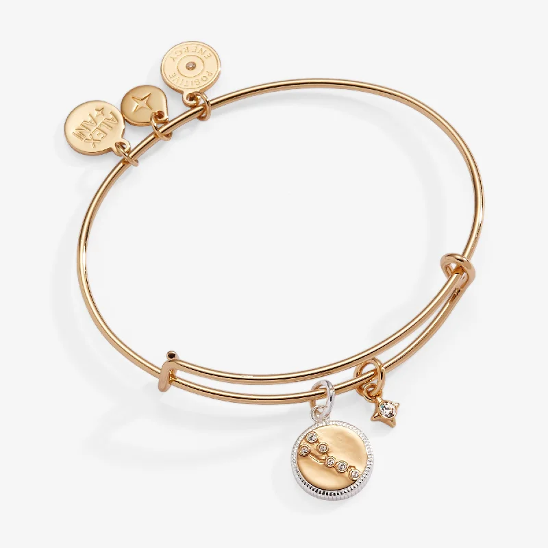 Taurus Zodiac Charm Bangle